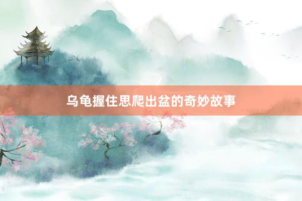 乌龟握住思爬出盆的奇妙故事