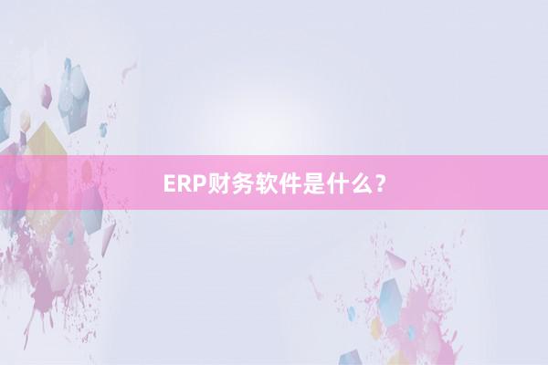 ERP财务软件是什么？